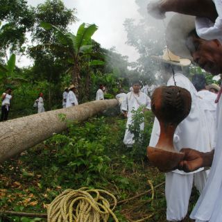 Buscan preservar los recursos naturales del ritual de los Voladores de Papantla