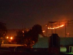 Autoridades detallan que en El Colli no existe mucha masa arbórea, no así pastizales, que son los que son consumidos. @clubcaninoGDL ESPECIAL /