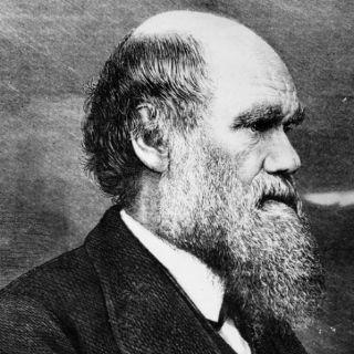 Darwin sentía que con su teoría confesaba ''un asesinato''