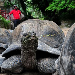 Primera terminal aérea ecológica opera a toda capacidad