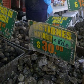 Pese a prohibición hay venta de moluscos en concha
