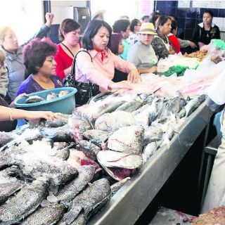 Mercado del mar venderá 10 mil toneladas de productos
