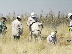 Personal especializado de Pemex inhabilitó las conexiones ilícitas y reparó los ductos afectados. NTX /