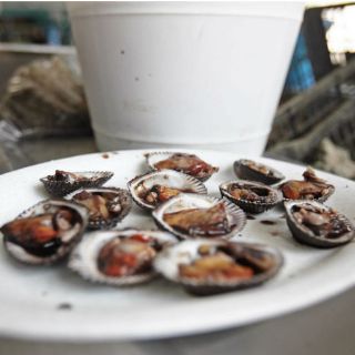 Salud decomisa moluscos en concha