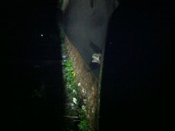 Él fue el culpable de que Mark se detuviera en su camino. ESPECIAL /