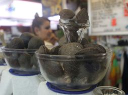 Los moluscos bivalvos son aquellos presentados en concha, como son los ostiones, las almejas, mejillones y patas de mula.  /