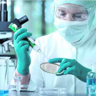 Emiten reglamento para la producción de medicamentos