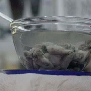 Veda no interrumpe venta de moluscos