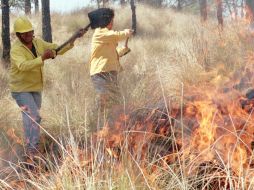 La Policía Federal señala que han recibido instrucciones de apoyar con todo lo necesario al gobierno del estado. ARCHIVO /