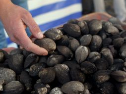 La veda sanitaria temporal, se mantienen para prevenir afectaciones a la salud de la población.  /