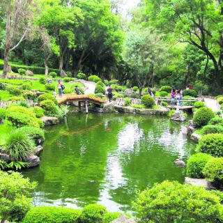 Quietud en medio del ajetreo citadino