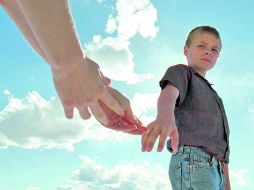 Naturaleza. ¿Pero qué es la cinta El árbol de la vida sino una revisión del libro de Job? ESPECIAL /