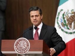 El Presidente de la República realizará un acto para anunciar la promulgación de la nueva ley. ARCHIVO /