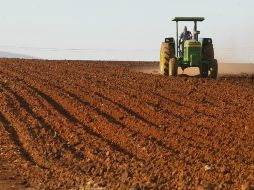 A la fecha el país sólo genera 55 por ciento de su consumo agrícola. ARCHIVO /
