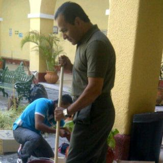 Dan 'manita de gato' a Junta Local