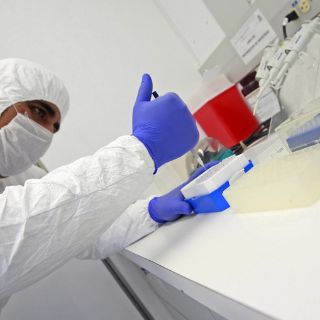 Virus de gripe aviar muta y afecta a seres humanos