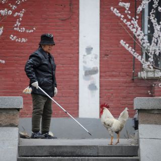 La OMS confirma otros cuatro casos de virus AH7N9 en China