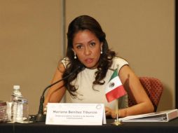 Mariana Benítez Tiburcio da la información. ARCHIVO /