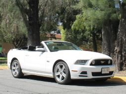 Se mantiene. A pesar de que está próximo su rediseño, el Mustang sigue siendo un imán de miradas.  /