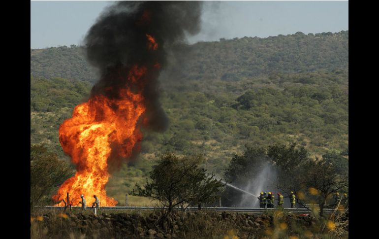 El flamazo dañó unos 80 metros cuadrados de pastizales.  /