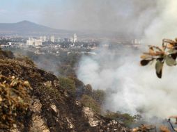 El jefe de bomberos mencionó que desconocía cuantas hectáreas habían sido consumidas. ARCHIVO /