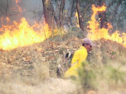 El Gobierno federal anunció 500 MDP extra para Jalisco, más del triple de lo que invirtió el Gobierno estatal en todo el sexenio pasado EL INFORMADOR /