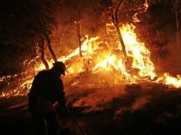 No se han informador cuántas hectáreas han sido consumidas por el fuego. ARCHIVO /