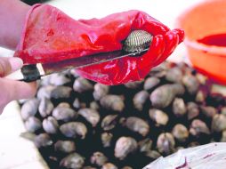 La veda incluía productos de Nayarit y Sinaloa, por encontrarse una toxina que puede ocasionar parálisis respiratoria e incluso muerte. EL INFORMADOR /