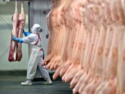 Más de 100 compañías compraron carne a dos comercializadoras holandesas. AP /