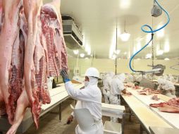 Productores mexicanos demostrarán que en México ''no se utiliza la ractopamina para la engorda de bovinos''. ARCHIVO /