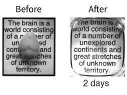 Ahora el reto es interpretar la gran cantidad de datos que Clarity hará accesibles. AP /