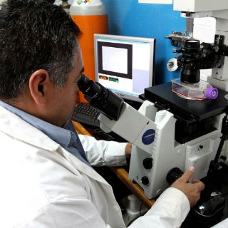 Uso de biotecnologías en campo ayudaría a combatir el hambre