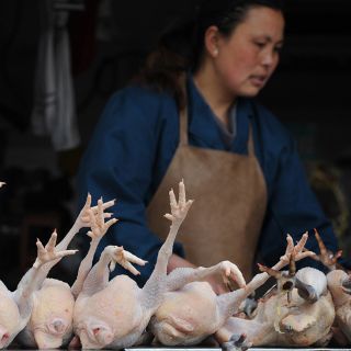 Muere otro afectado por el virus H7N9 en China