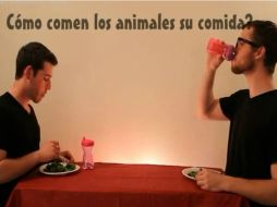 En menos de una semana el video llega a 16 millones de vistas en YouTube.  /