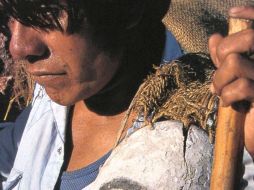 Lumholtz describió, estudió, comprendió y respetó tanto a los humanos como los divinos de cada lugar que visitó. ESPECIAL /