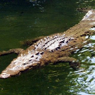 Escudo Guayanés, prehistórico bastión ecológico contra cambio climático