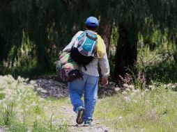 Los migrantes son trasladados a las oficinas de la Policía Federal para quedar a disposición del INM. ARCHIVO /