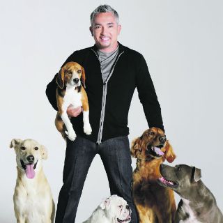 César Millán se guía por instinto