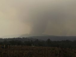 El siniestro ocurre entre los límites de Tlajomulco y Jocotepec. ARCHIVO /