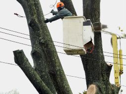 Señalan que otra opción es la vigilancia de la luminaria para evitar el robo de cables. ARCHIVO /