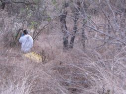 Los peritos continuaban esta noche trabajando en la zona.  /