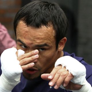 Juan Manuel Márquez vuelve al ring