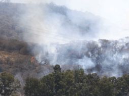 El incendio se suma a la estadística de más de 180 siniestros registrados en el municipio. ARCHIVO /