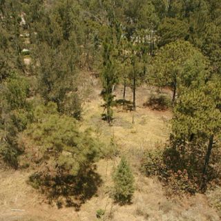 Reforzarán seguridad en bosque El Centinela