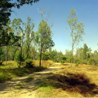 Redoblarán vigilancia en El Centinela