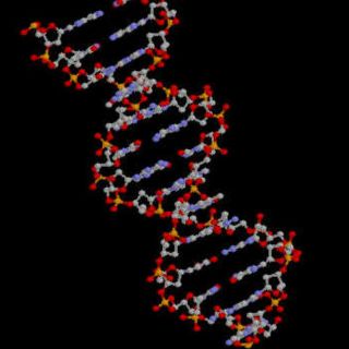 Cumple 60 años la estructura del ADN