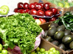 Muchas de estas compañías ya exportan a Canadá y lo que buscan es ampliar su mercado y diversificar sus productos. EL INFORMADOR /