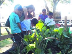 HUERTOS. ''Hay un grupo de vecinas que riega el parque y los huertos; esto también ha generado cohesión social'',presume el coordinador EL INFORMADOR /