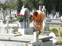 Reordenarán los espacios de tumbas, gavetas, nichos y la actualización de datos y expedientes. ARCHIVO /