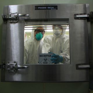 Sin evidencia de que gripe aviar se transmita entre humanos: OMS